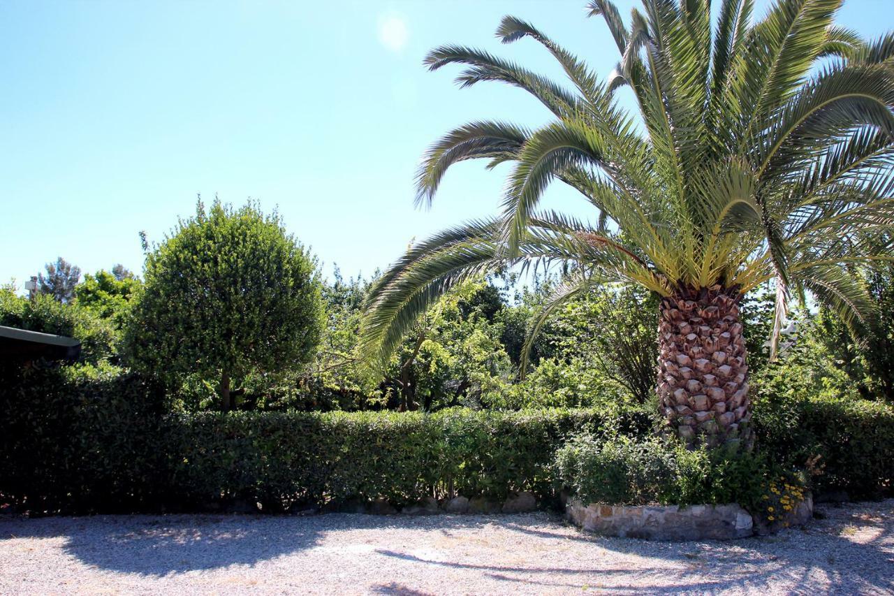 Elbaloves Appartaments Villa Capoliveri  Extérieur photo