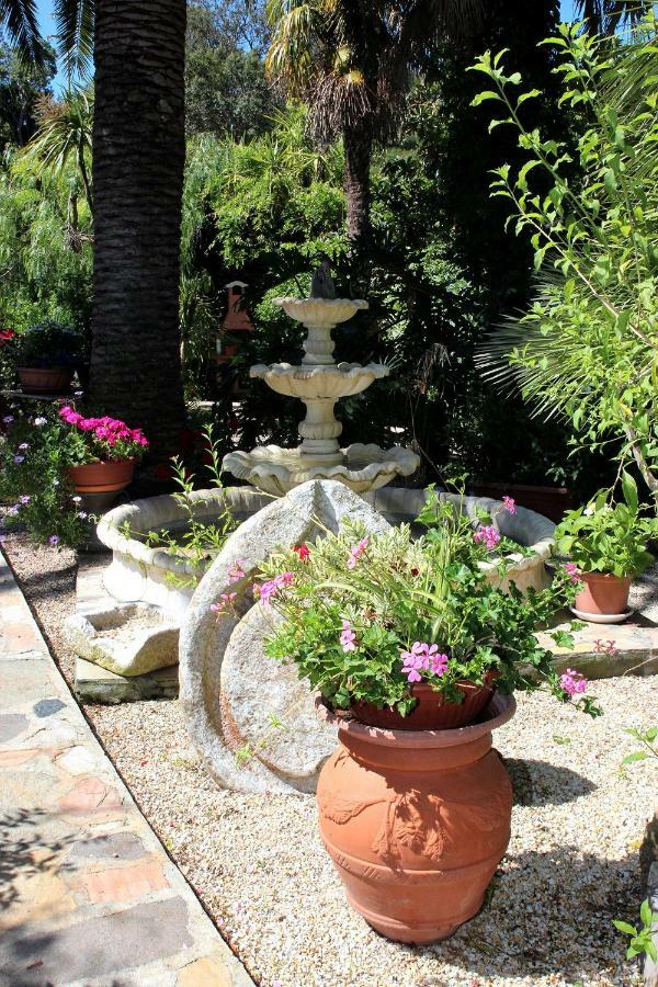 Elbaloves Appartaments Villa Capoliveri  Extérieur photo