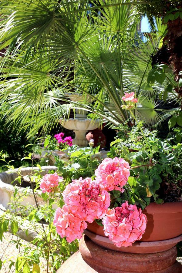 Elbaloves Appartaments Villa Capoliveri  Extérieur photo
